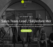 Sales Team Lead Säljledare Mer Sweden